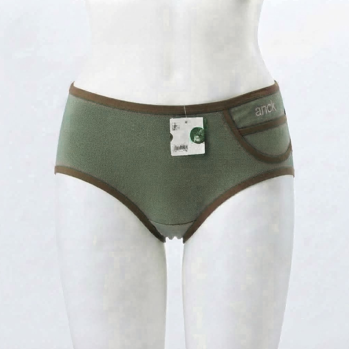 Dual-Tone Accent Panties (1507)