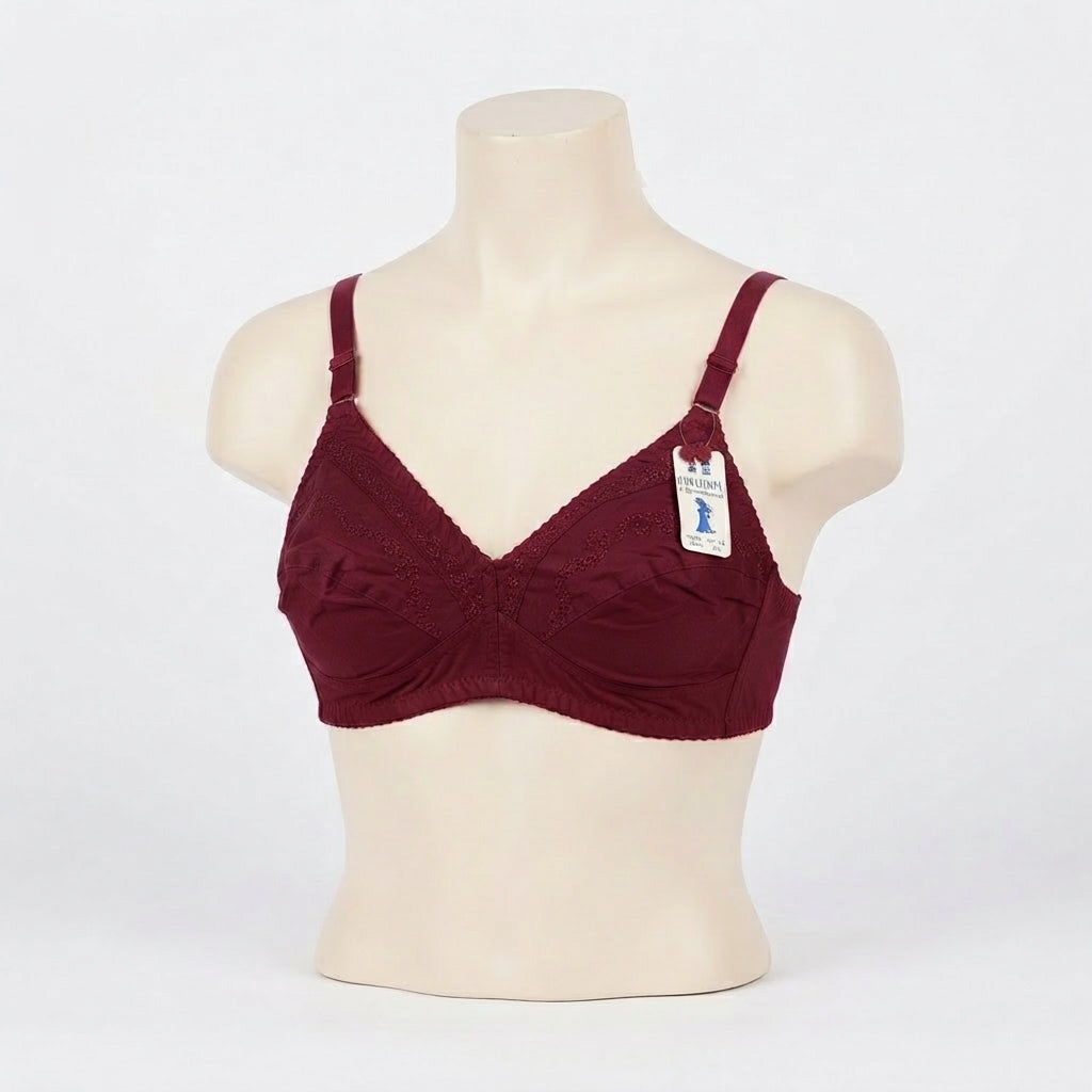 Graceful Trimmed Comfort Bra (ART-134)