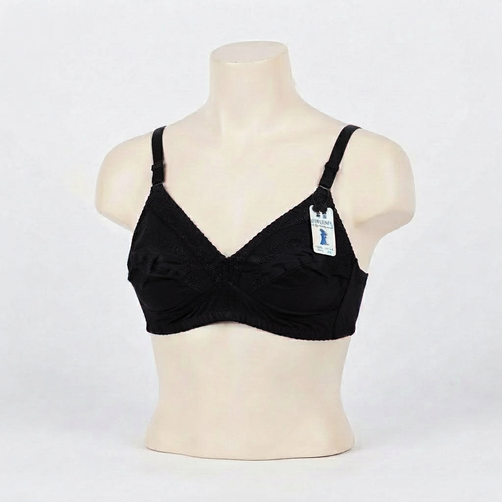 Graceful Trimmed Comfort Bra (ART-134)